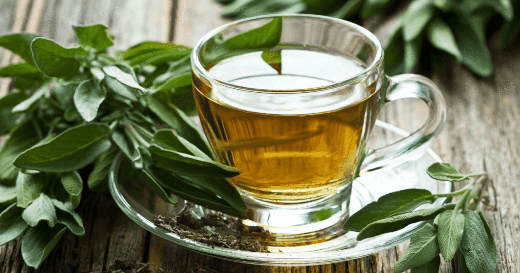 salvia para la salud intestinal