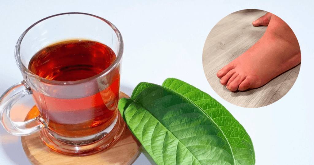 té de guayaba