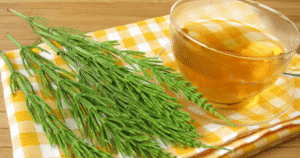 Té de Cola de Caballo