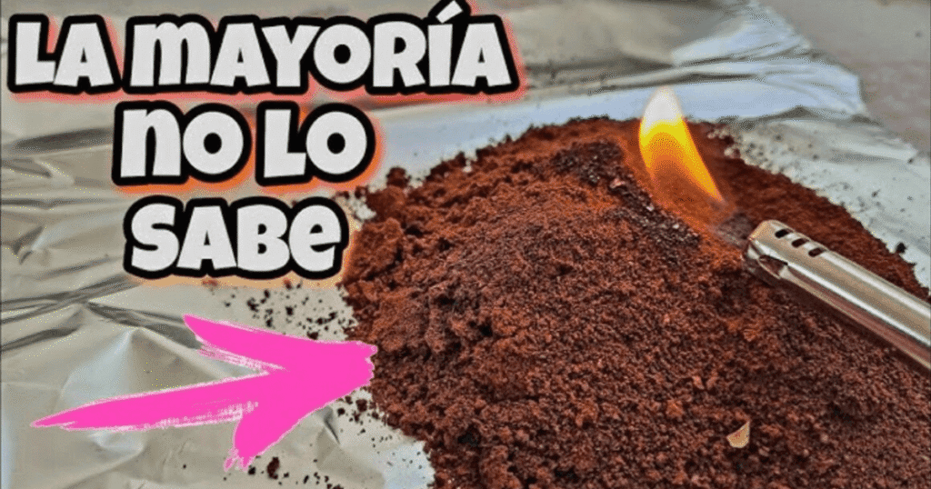 café contra insectos