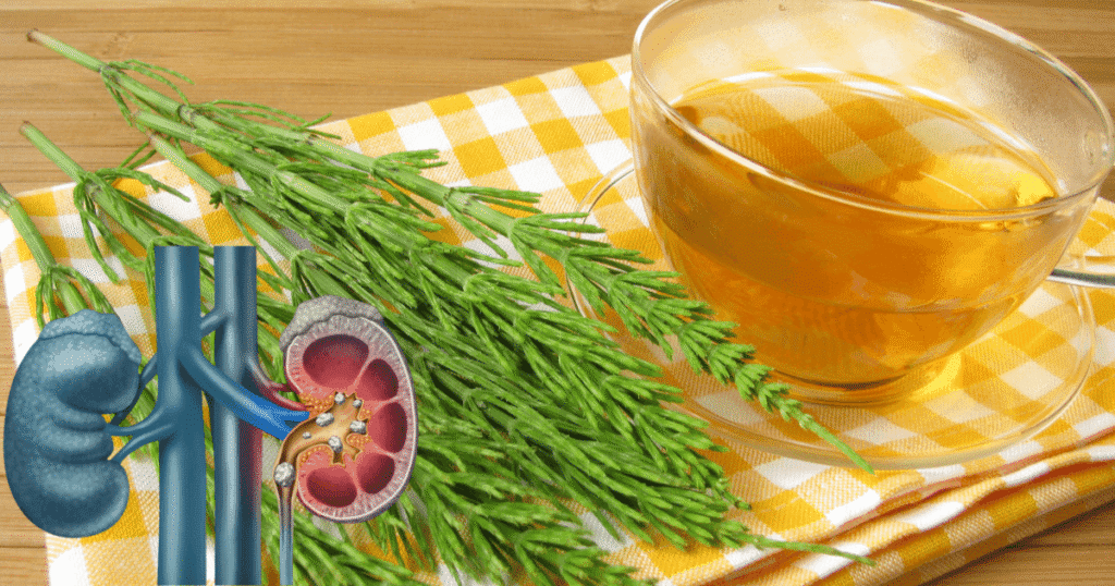 infusiones para riñones