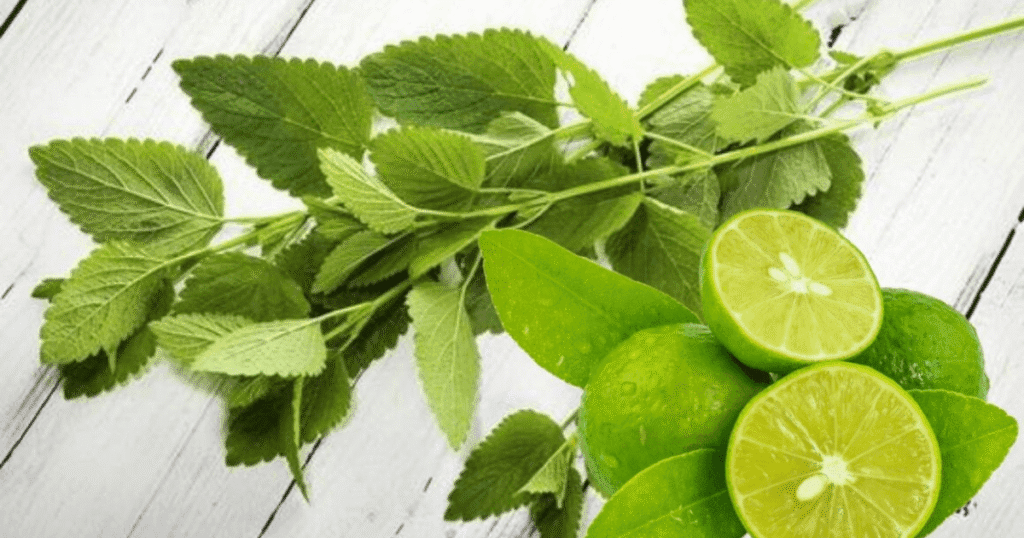 ortiga y limón