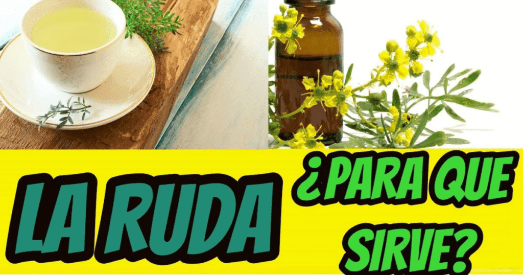 ruda para la salud