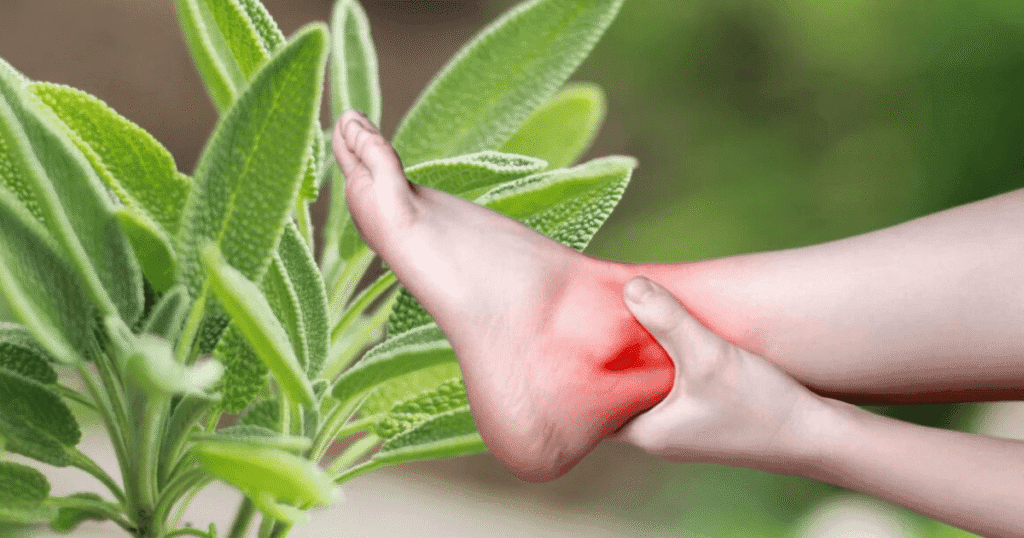 salvia beneficios