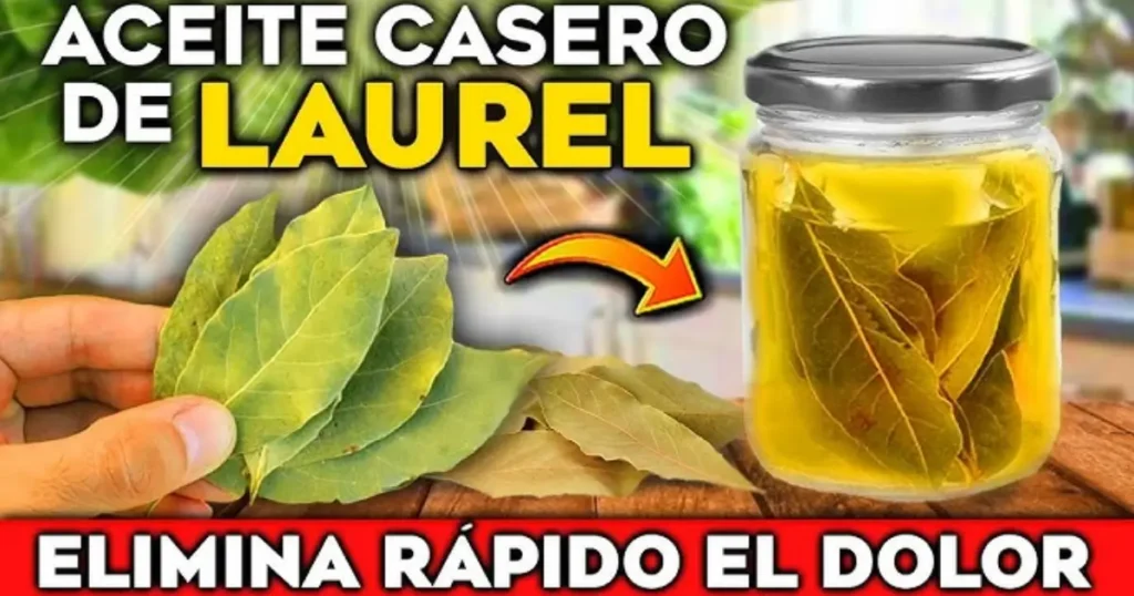aceite de laurel