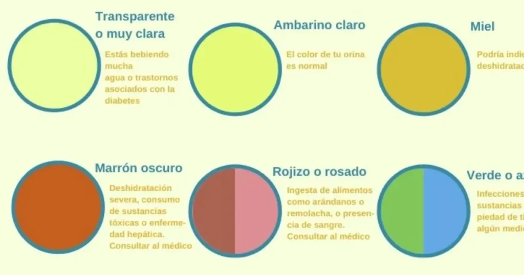 color de la orina