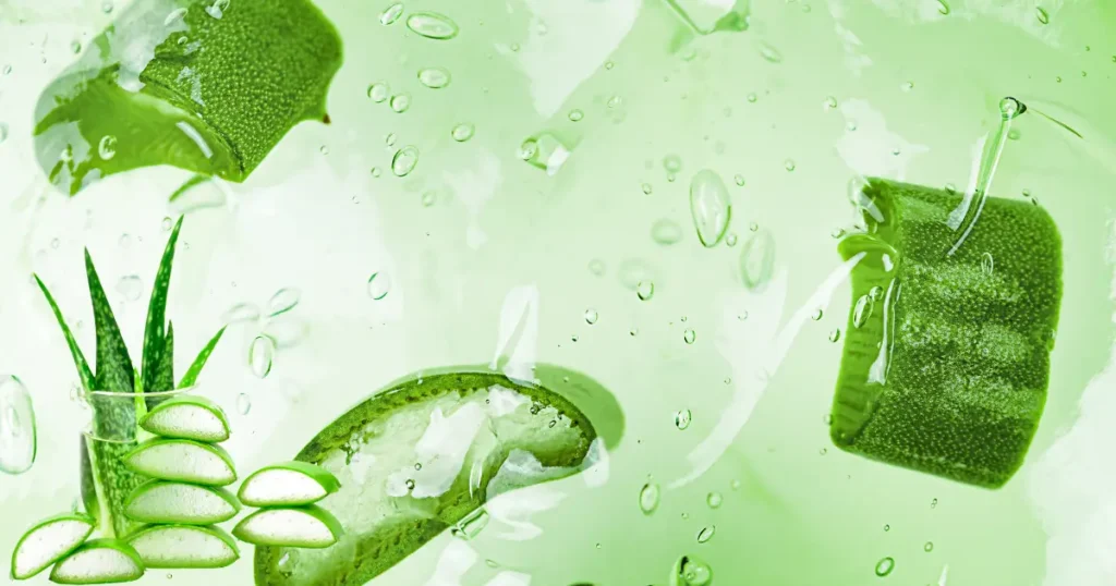 beneficios del aloe vera