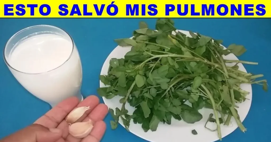 berro ajo y leche