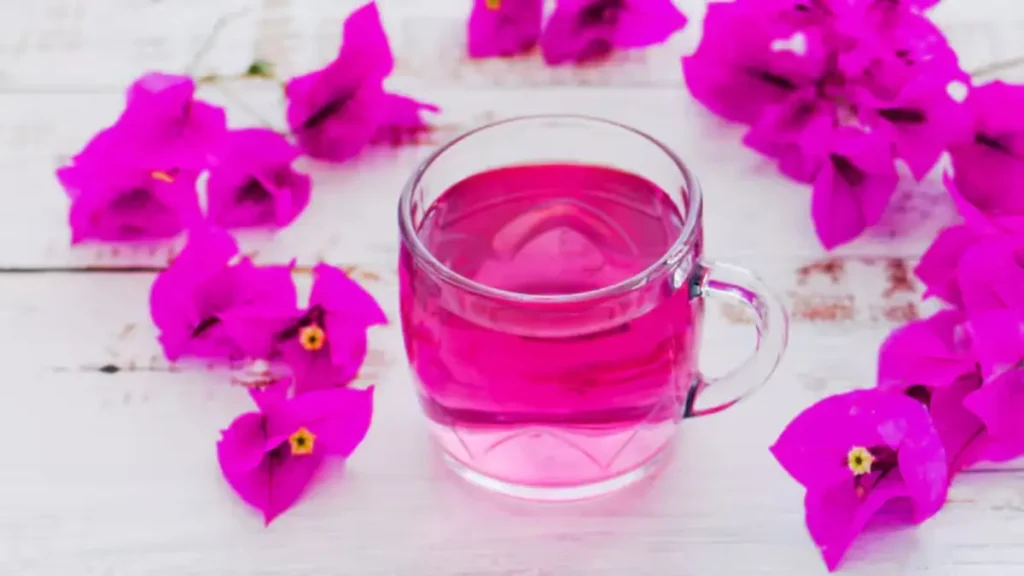 té de bugambilia