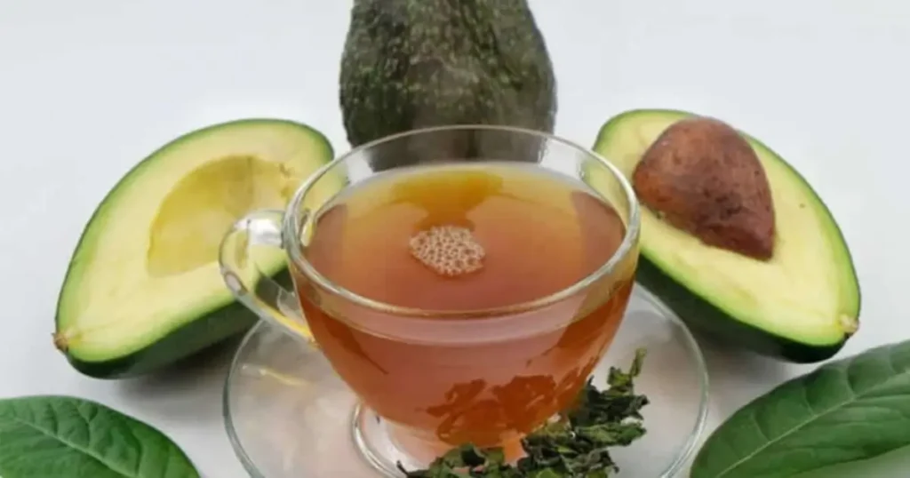 té de hojas de aguacate