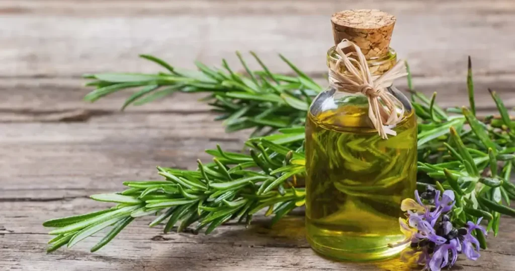 aceite de romero antiinflamatorio